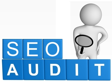 Search Engine Optimization Audit